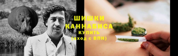 МДПВ Новокубанск