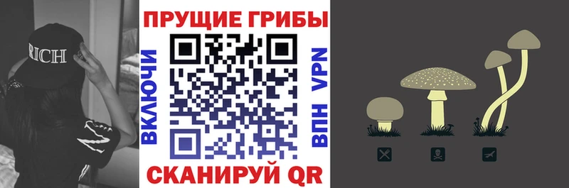 Псилоцибиновые грибы мицелий  Великие Луки 